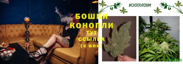 Альфа ПВП Дмитриев