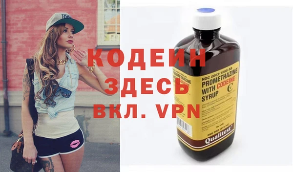 дмт Дмитров
