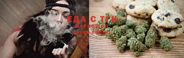 дмт Дмитров