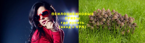 дмт Дмитров