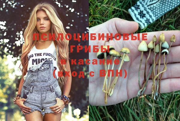 Альфа ПВП Дмитриев