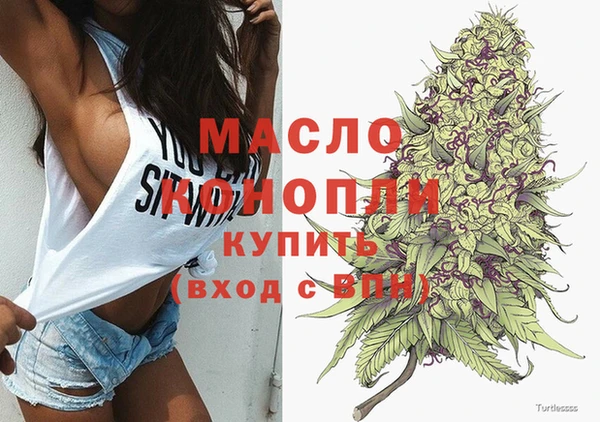 дмт Дмитров