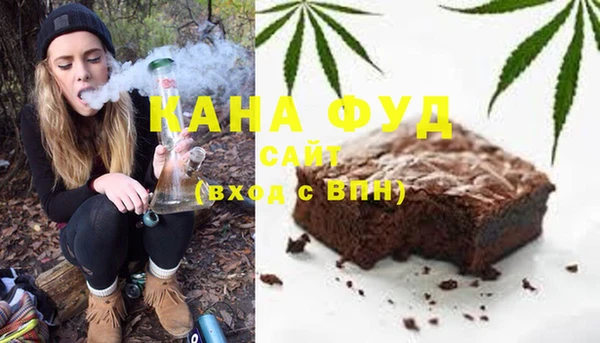 дмт Дмитров
