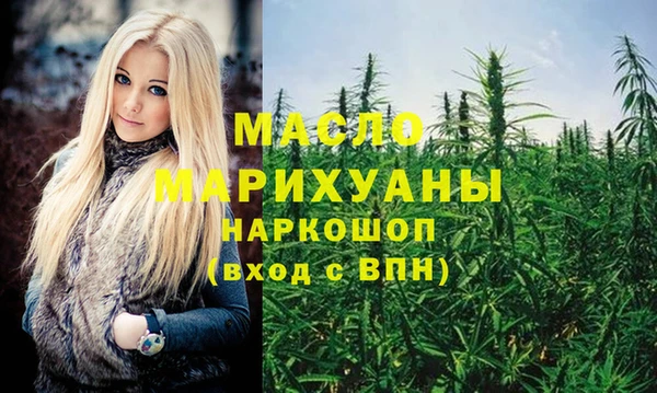 дмт Дмитров