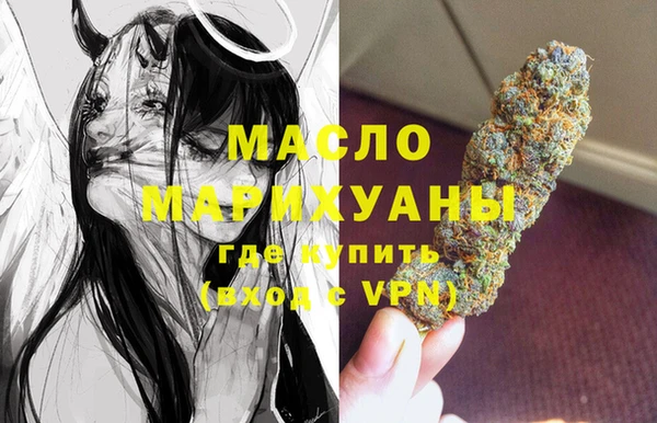 дмт Дмитров