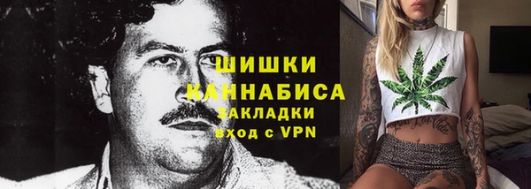 Альфа ПВП Дмитриев