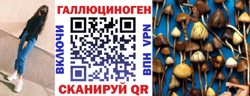 Купить где  Староминская  Галлюциногенные грибы мицелий 